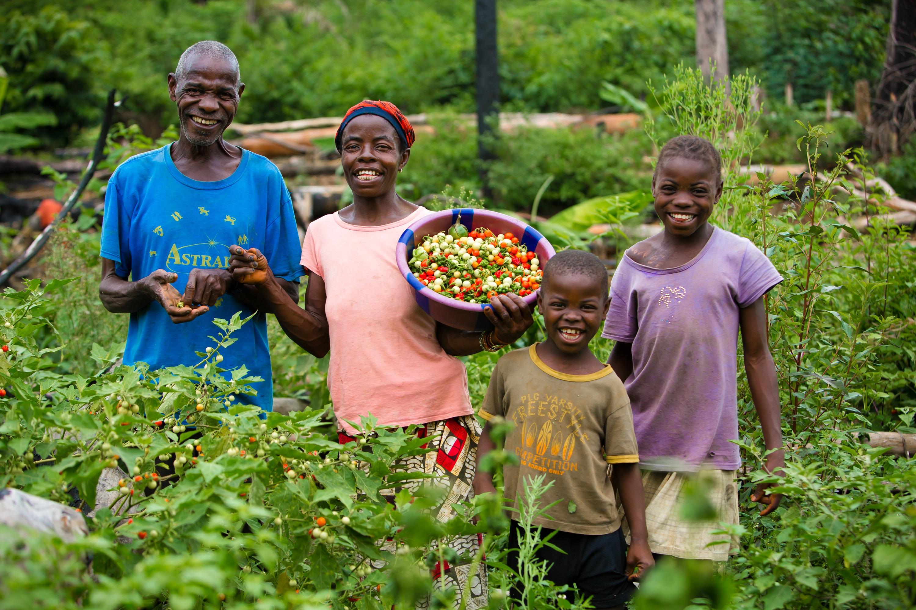 Assetium Farmers Community